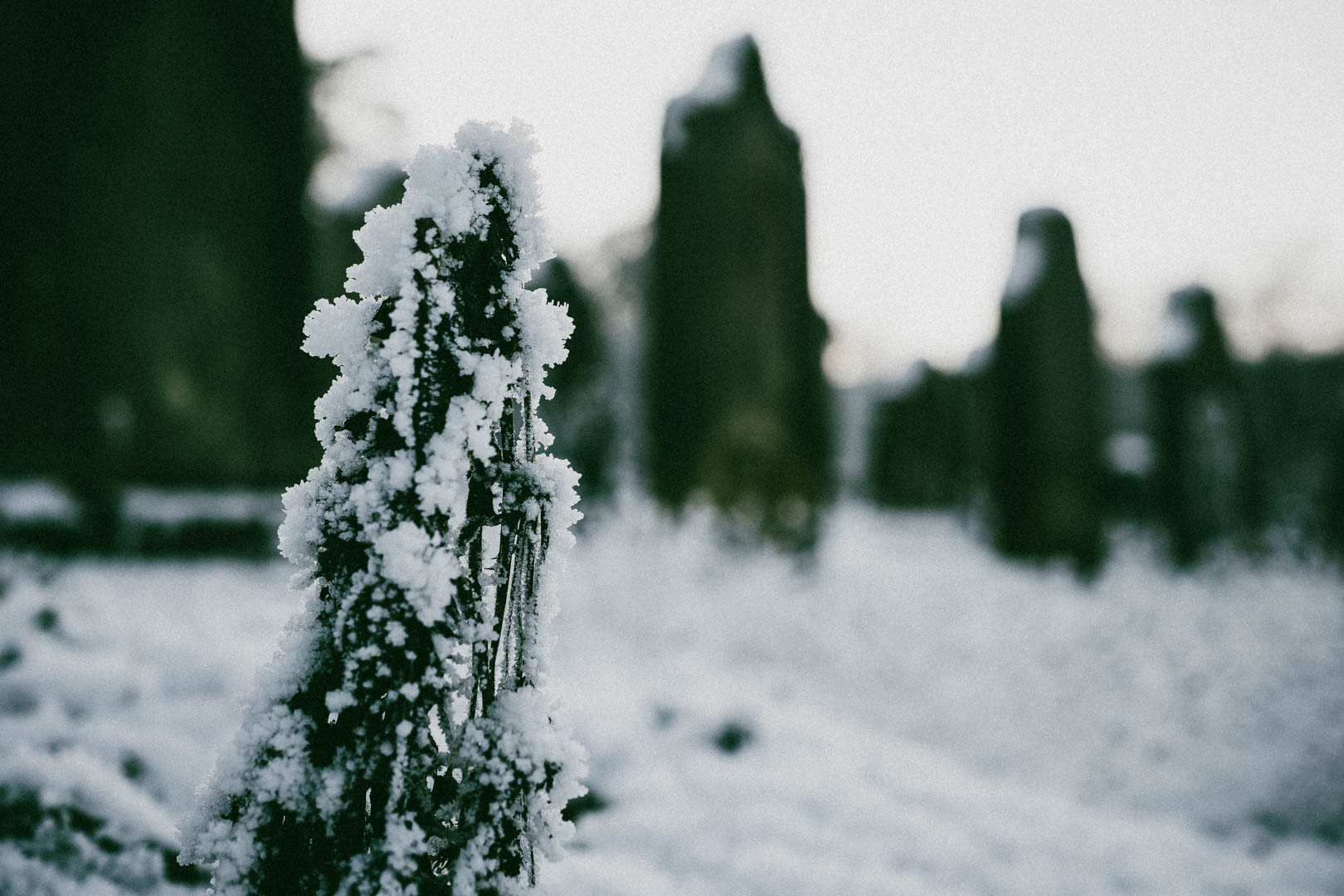 Binsförth, Jüdischer Friedhof
